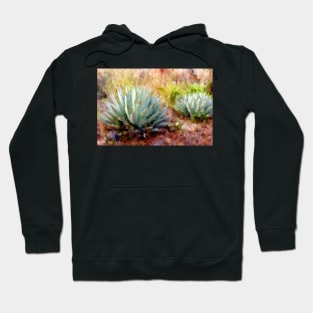 High Desert Floor Hoodie